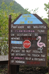 00_FlamingoSign_2171